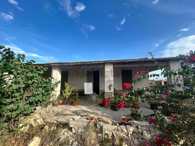 Chalet, Elche / Elx