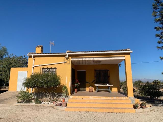 Chalet, Elche / Elx