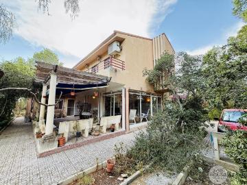 Chalet, Elche / Elx