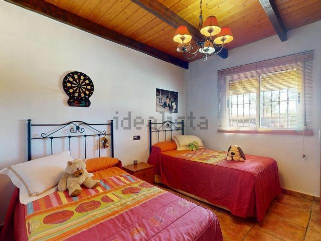 Chalet, Elche / Elx