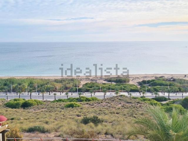 Chalet, Elche / Elx