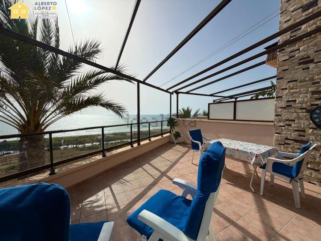Chalet, Elche / Elx