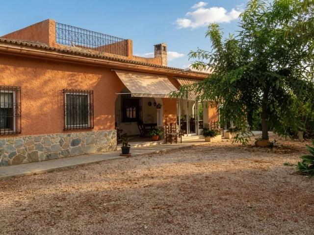 Chalet, Elche / Elx