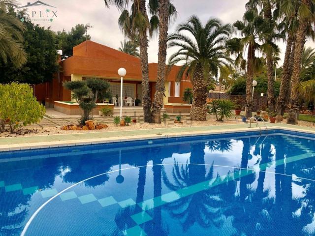 Chalet, Elche / Elx
