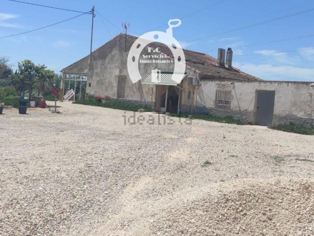 Chalet, Elche / Elx