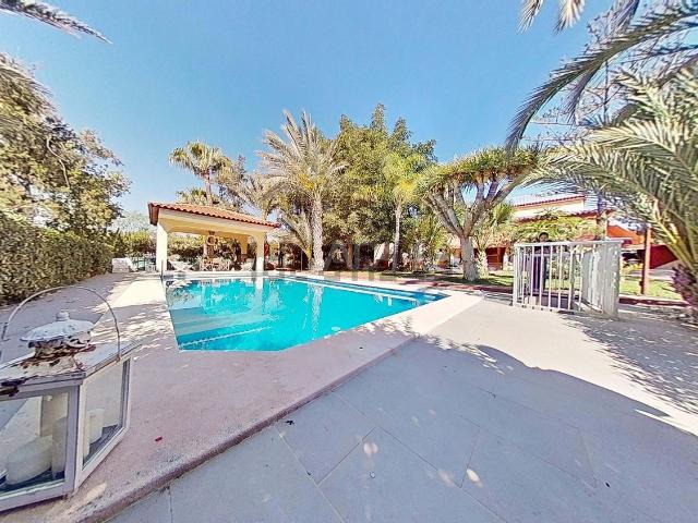 Chalet, Elche / Elx