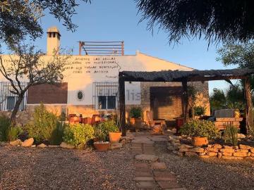 Chalet, Elche / Elx