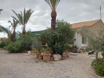 Chalet, Elche / Elx