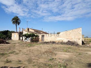 Chalet, Elche / Elx