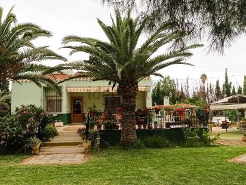 Chalet, Elche / Elx