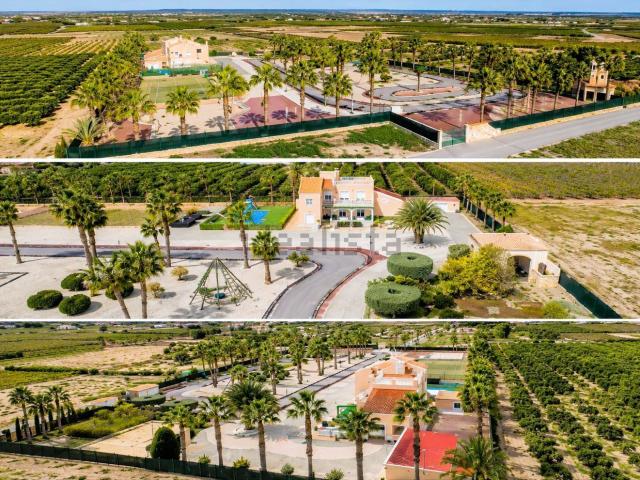 Chalet, Elche / Elx