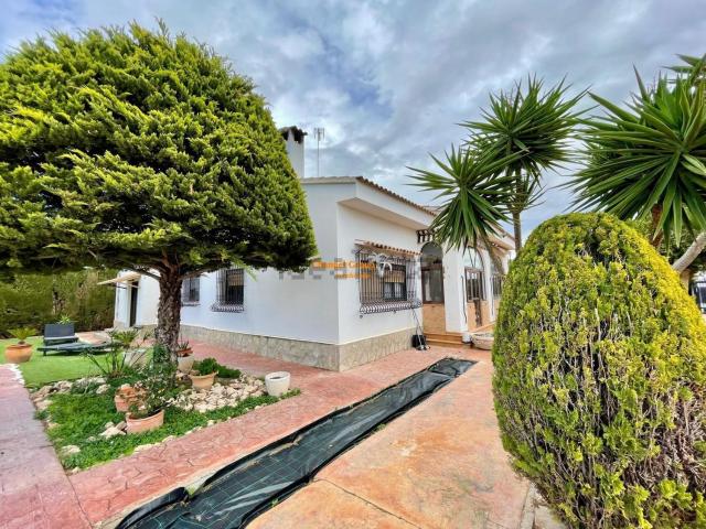 Chalet, Elche / Elx