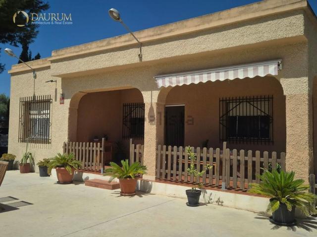 Chalet, Elche / Elx