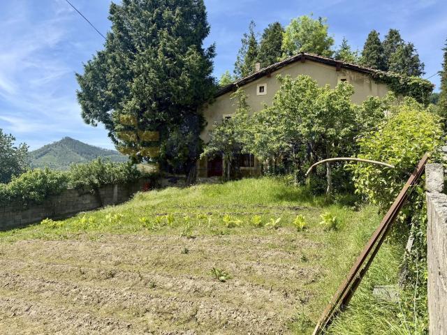 Chalet, Elgeta