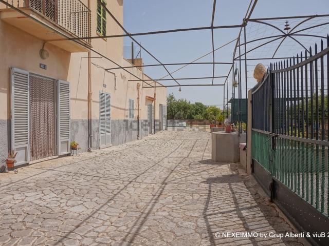 Chalet, Establiments, Palma de Mallorca
