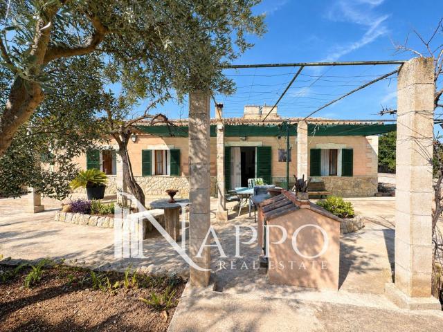 Chalet, Establiments, Palma de Mallorca