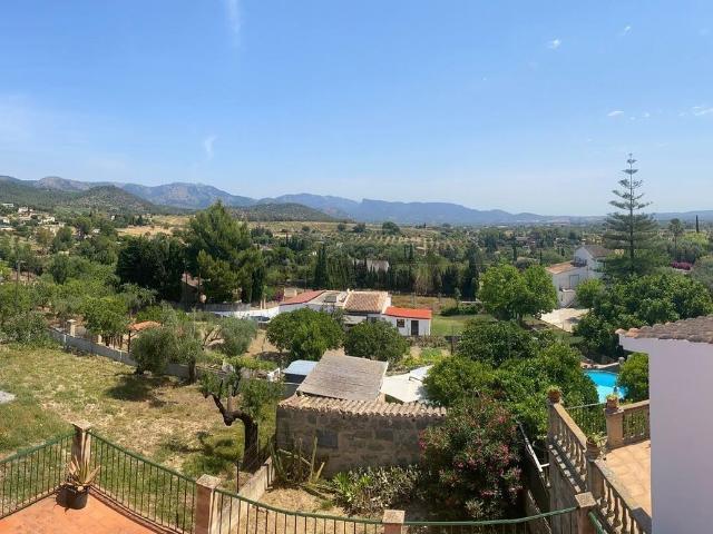 Chalet, Establiments, Palma de Mallorca