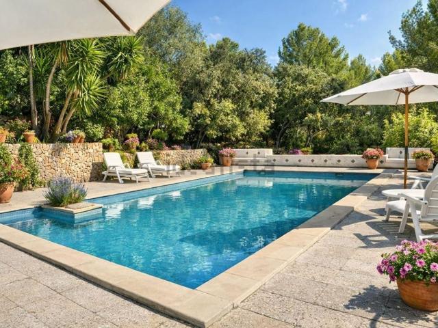 Chalet, Establiments, Palma de Mallorca