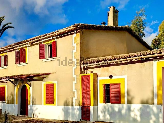 Chalet, Establiments, Palma de Mallorca