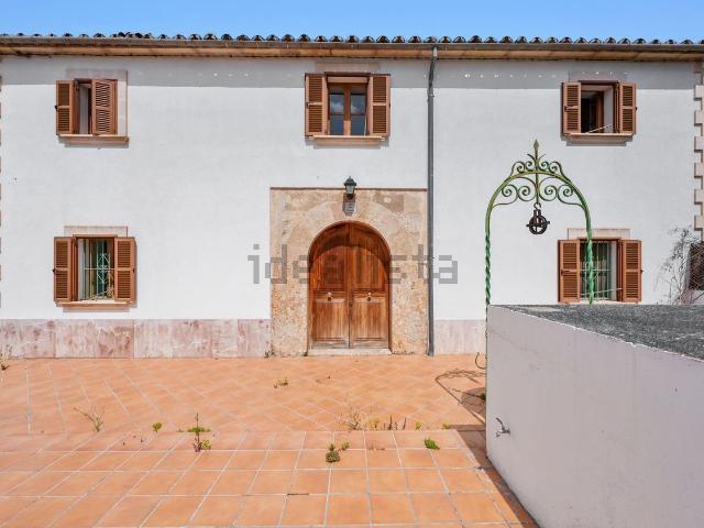 Chalet, Establiments, Palma de Mallorca