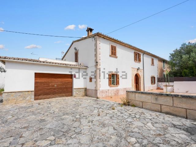 Chalet, Establiments, Palma de Mallorca