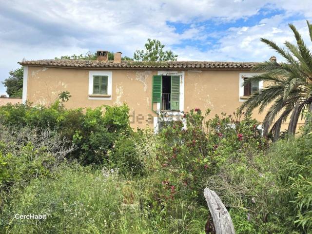 Chalet, Establiments, Palma de Mallorca