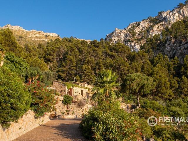 Chalet, Estellencs