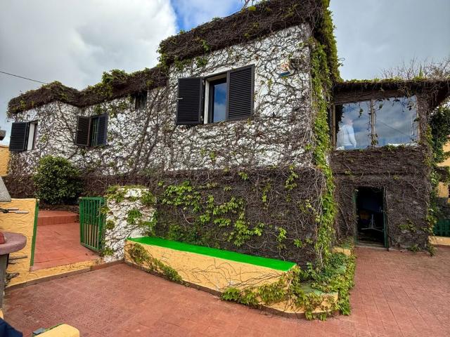 Chalet, Firgas