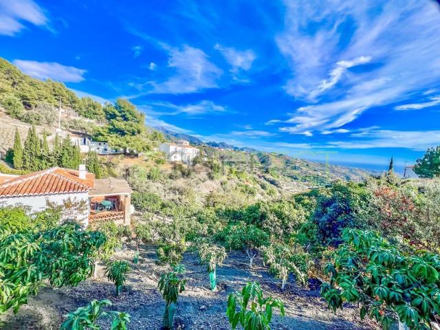 Chalet, Frigiliana
