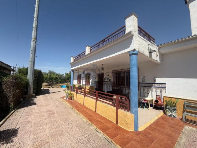 Chalet, Hellín