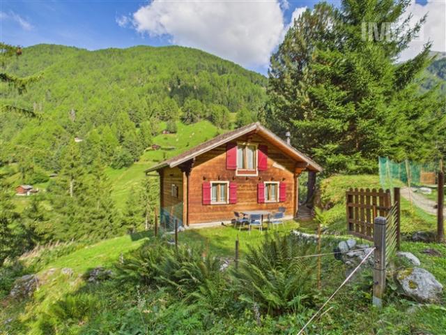 Chalet in Haute Nendaz Le Lavantier – Ein Ort des Friedens mitten in der Natur