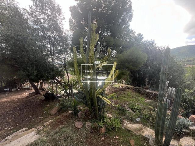 Chalet Independiente Venta Castellón