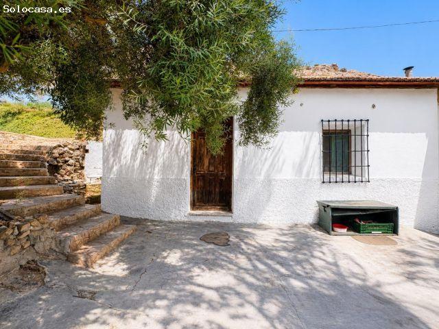 Chalet independiente con piscina privada y 4.714 m2 de parcela en Raiguero de Bonanza, Orihuela