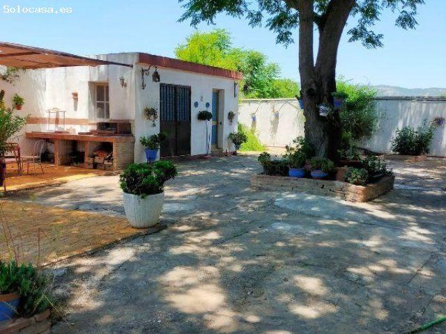 Chalet independiente en una sola planta con piscina y apartamento independiente en El Higuerón