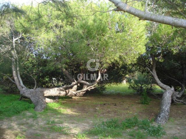 Chalet Independiente en alquiler en Rota – Cádiz | Gilmar Consulting