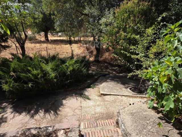 Chalet Independiente en Hontanar