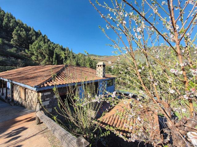 Chalet individual en venta, Vega de San Mateo, Las Palmas