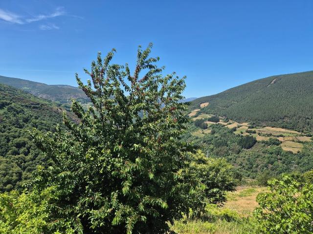 Chalet individual en venta, San Clemente, Asturias
