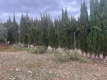 Chalet, Jaén
