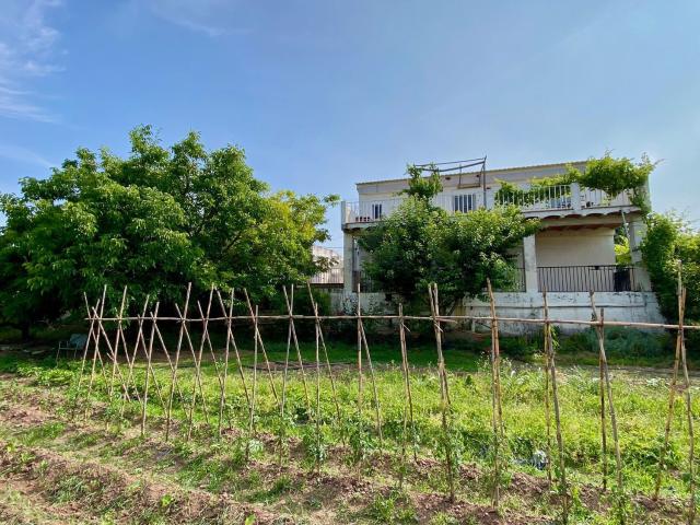 Chalet, Onda