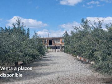 Chalet, Orihuela