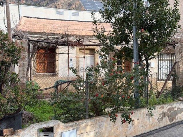 Chalet, Orihuela