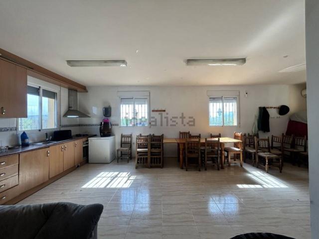 Chalet, Orihuela