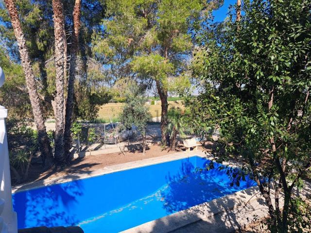 Chalet, Orihuela