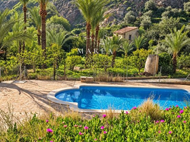 Chalet, Orihuela