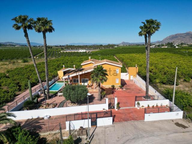 Chalet, Orihuela