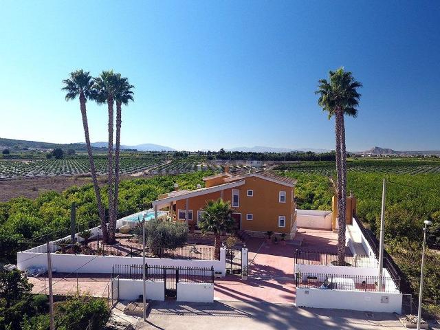 Chalet, Orihuela