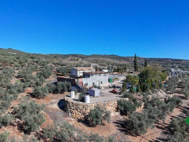 Chalet, Loja