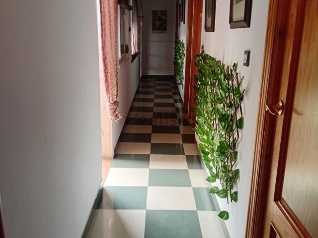 Chalet, Lachar