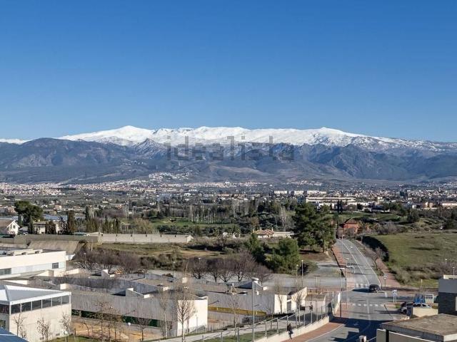 Chalet, Las Gabias